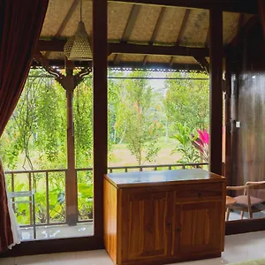 Guest house Mancur